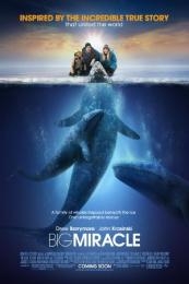 Nonton Big Miracle (2012) Sub Indo di Lk21 Poster