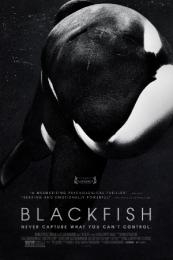 Nonton Blackfish (2013) Sub Indo di Lk21 Poster