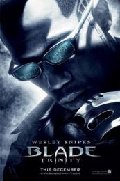 Nonton Blade: Trinity (2004) Sub Indo di Lk21 Poster