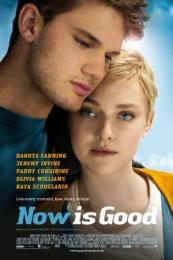 Nonton Now Is Good (2012) Sub Indo di Lk21 Poster