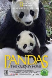Nonton Pandas: The Journey Home (2014) Sub Indo di Lk21 Poster