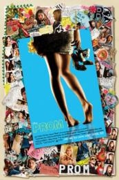 Nonton Prom (2011) Sub Indo di Lk21 Poster