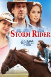 Nonton Storm Rider (2013) Sub Indo di Lk21 Poster