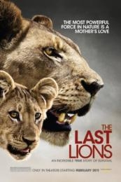 Nonton The Last Lions (2011) Sub Indo di Lk21 Poster