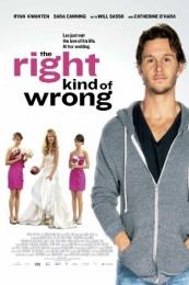 Nonton The Right Kind of Wrong (2013) Sub Indo di Lk21 Poster