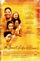 Nonton The Secret Life of Bees (2008) Sub Indo di Lk21 Poster