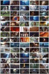 Nonton The Tree of Life (2011) Sub Indo di Lk21 Poster