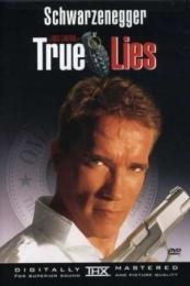 Nonton True Lies (1994) Sub Indo di Lk21 Poster