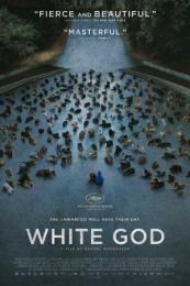 Nonton White God (Feher isten) (2014) Sub Indo di Lk21 Poster