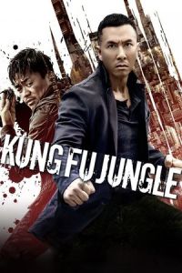 Nonton Kung Fu Killer (Yi ge ren de wu lin) (2014) Sub Indo di Lk21 Poster