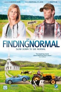 Nonton Finding Normal (2013) Sub Indo di Lk21 Poster