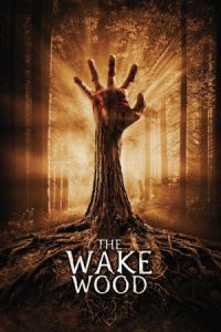 Nonton Wake Wood (2009) Sub Indo di Lk21 Poster