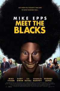 Nonton Meet the Blacks (2016) Sub Indo di Lk21 Poster