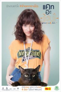 Nonton Cat a Wabb (2015) Sub Indo di Lk21 Poster