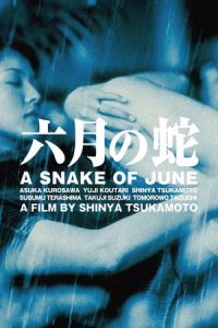 Nonton A Snake of June (Rokugatsu no hebi) (2002) Sub Indo di Lk21 Poster