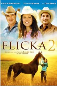 Nonton Flicka 2 (2010) Sub Indo di Lk21 Poster