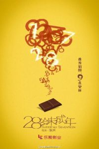 Nonton Suddenly Seventeen (28 Sui Wei Chengnian) (2015) Sub Indo di Lk21 Poster