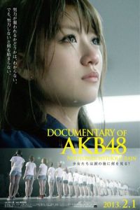 Nonton Documentary of AKB48: No Flower Without Rain (2013) Sub Indo di Lk21 Poster