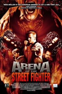 Nonton Urban Fighter (Arena of the Street Fighter) (2013) Sub Indo di Lk21 Poster
