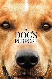 Nonton A Dog's Purpose (2017) Sub Indo di Lk21 Poster