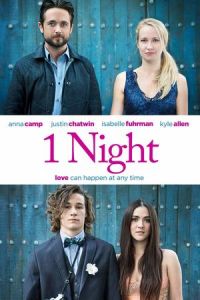 Nonton 1 Night (One Night) (2016) Sub Indo di Lk21 Poster