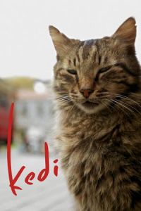 Nonton Kedi (2016) Sub Indo di Lk21 Poster