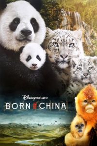 Nonton Born in China (2016) Sub Indo di Lk21 Poster