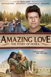 Nonton Amazing Love (2012) Sub Indo di Lk21 Poster