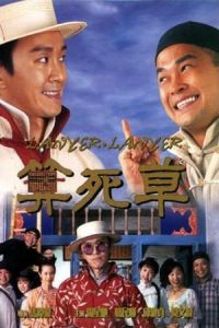 Nonton Lawyer Lawyer (Suen sei cho) (1997) Sub Indo di Lk21 Poster