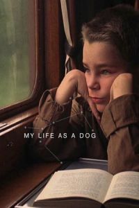 Nonton My Life as a Dog (Mitt liv som hund) (1985) Sub Indo di Lk21 Poster