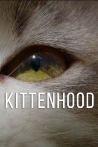 Nonton Kittenhood (2015) Sub Indo di Lk21 Poster