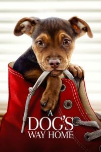 Nonton A Dog's Way Home (2019) Sub Indo di Lk21 Poster