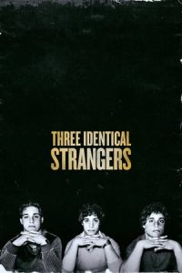 Nonton Three Identical Strangers (2018) Sub Indo di Lk21 Poster