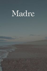 Nonton Madre (2017) Sub Indo di Lk21 Poster
