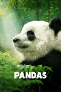 Nonton Pandas (2018) Sub Indo di Lk21 Poster