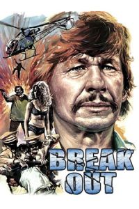 Nonton Breakout(1975) Sub Indo di Lk21 Poster