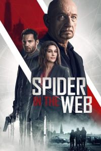 Nonton Spider in the Web (2019) Sub Indo di Lk21 Poster