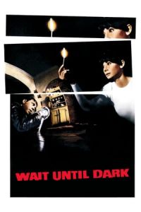 Nonton Wait Until Dark (1967) Sub Indo di Lk21 Poster