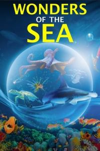 Nonton Wonders of the Sea (Wonders of the Sea 3D) (2017) Sub Indo di Lk21 Poster