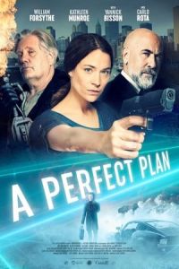 Nonton A Perfect Plan (2020) Sub Indo di Lk21 Poster