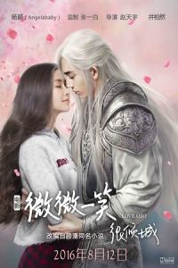 Nonton Love O2O (Wei wei yi xiao hen qing cheng) (2016) Sub Indo di Lk21 Poster