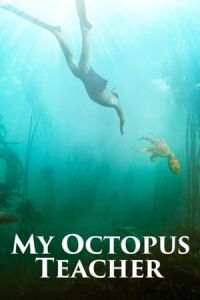 Nonton My Octopus Teacher (2020) Sub Indo di Lk21 Poster