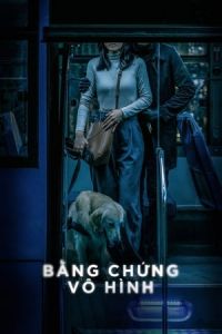 Nonton Invisible Evidence (Bang Chung Vo Hinh) (2020) Sub Indo di Lk21 Poster