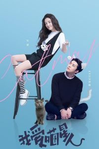 Nonton Catman (2021) Sub Indo di Lk21 Poster