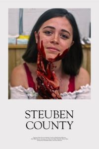 Nonton Steuben County (2020) Sub Indo di Lk21 Poster