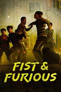 Nonton Fist & Furious (2019) Sub Indo di Lk21 Poster
