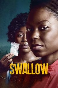 Nonton Swallow (2021) Sub Indo di Lk21 Poster