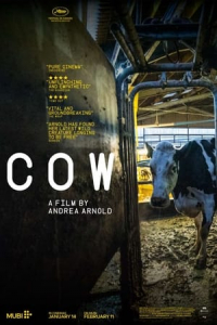 Nonton Cow (2022) Sub Indo di Lk21 Poster