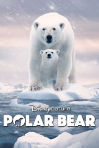Nonton Polar Bear (2022) Sub Indo di Lk21 Poster