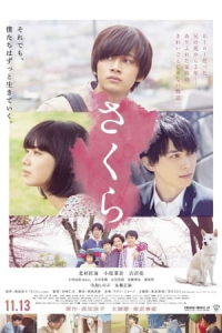 Nonton Sakura (2020) Sub Indo di Lk21 Poster